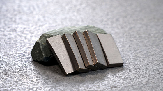 OEM personnalisé D1300MM Diamond Segment Tips avec poudre métallique et poudre de diamant